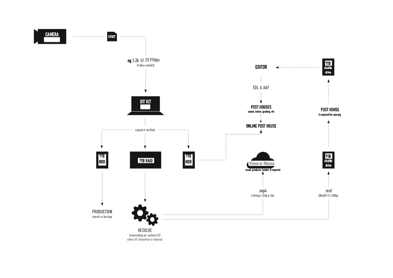 WBPG-Data-workflow-Avid-Example